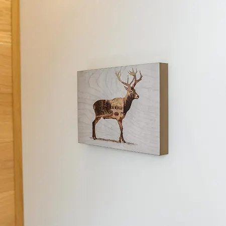 Visitzakopane - Montana * زاكوباني