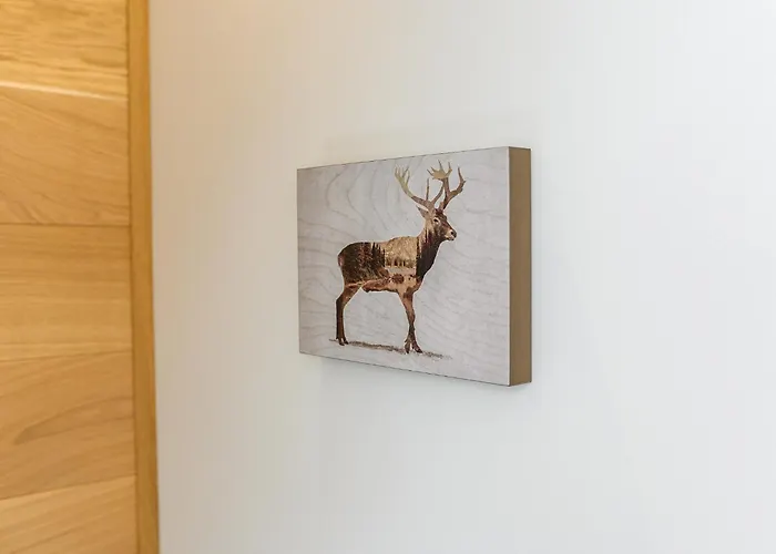 Visitzakopane - Montana * 扎科帕内