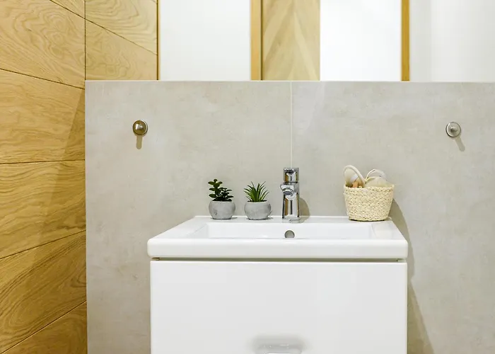 Visitzakopane - Montana 公寓 *