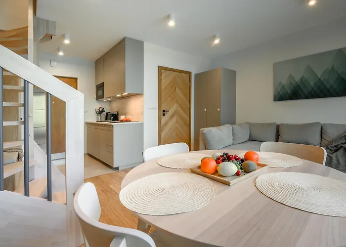 公寓 Visitzakopane - Montana *