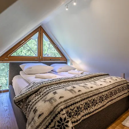 Apartment Visitzakopane - Montana